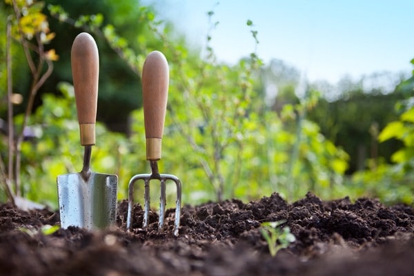 Getting Ready for the Garden